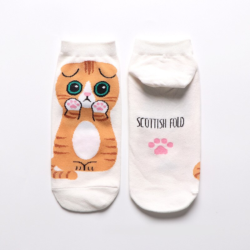 Women's Cat Patterned Socks 5 Pairs Set