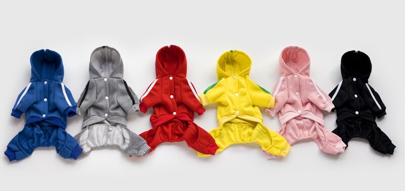 Different Colored Dog's Costume