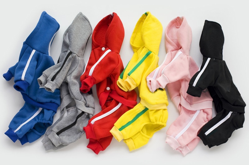 Different Colored Dog's Costume