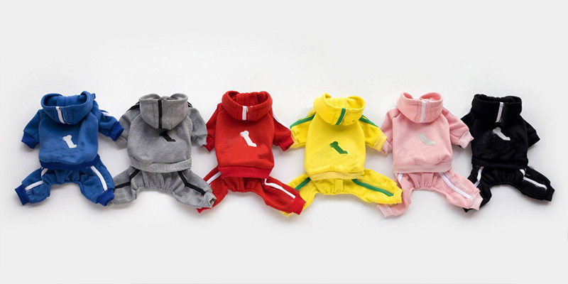 Different Colored Dog's Costume